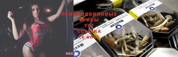 гидропоника Абинск