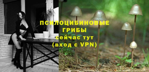 2c-b Абдулино