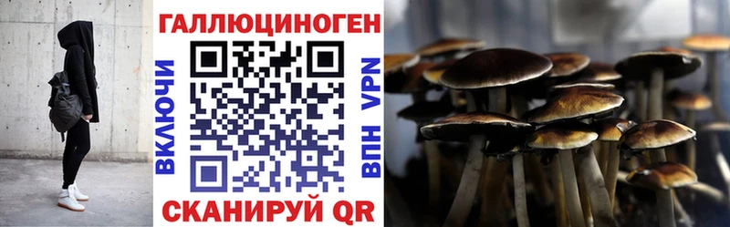 продажа наркотиков  площадка клад  blacksprut как войти  Галлюциногенные грибы Cubensis  Мурино 